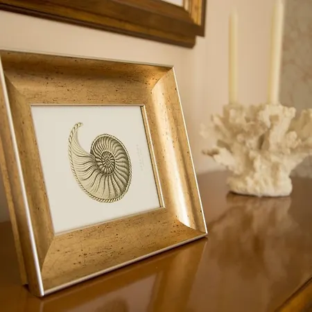 Md Cullera Cap Blanc